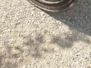 Banda de cauciuc la cel mai bun pret, asigur transport — miniatura 5