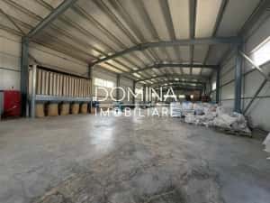 Vânzare complex industrial multifuncțional – poziție strategică, Târgu Jiu — miniatura 4