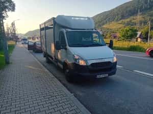 iveco daly transport animale 50c15/35c15/35c18/50c18 mercedes sprinter 516/518/519 — miniatura 8