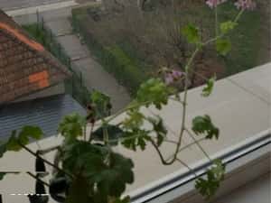 Vand apartament in Brasov — miniatura 3