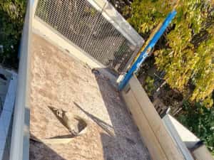 BENA Mercedes Sprinter din metal si aluminiu fara lift — miniatura 2