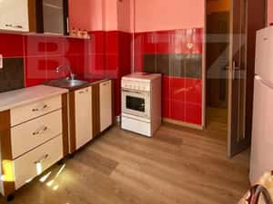 Apartament de 2 camere, 60 mp, decomandat, parcare, zona strazii Fanta — miniatura 4