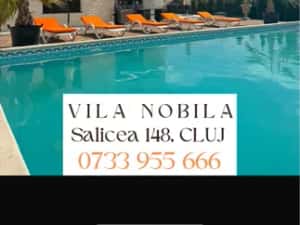 Cabana de inchiriat — miniatura 9
