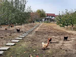 Teren 1100 mp. Dumbravita — miniatura 1