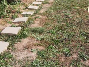 Teren 1100 mp. Dumbravita — miniatura 2