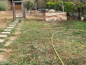 Teren 1100 mp. Dumbravita — miniatura 3