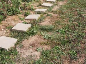 Teren 1100 mp. Dumbravita — miniatura 4