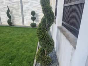 Piatra crem rosie gri — miniatura 5