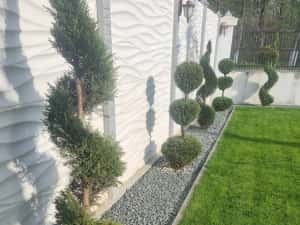 Piatra crem rosie gri — miniatura 8