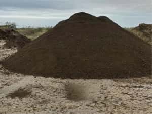 Pamant negru vegetal