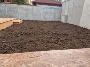 Pamant negru vegetal — miniatura 2