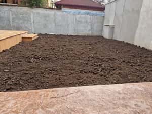 Pamant negru vegetal — miniatura 8