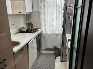 Apartament in Valea Lupului -3 camere- complet mobilat si utilat — miniatura 4