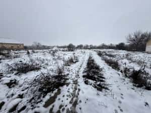 Teren Intravilan Becicherecu Mic 3200mp,F.S 40ml la DN6,Utilitati — miniatura 3