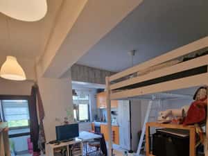 Apartament 1 camera Centru - Palas — miniatura 3
