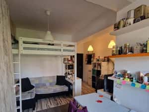 Apartament 1 camera Centru - Palas — miniatura 4