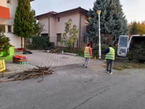 Taiere copaci PROGRAM 24/7 toaletare curățare terenuri poze pe watap — miniatura 9