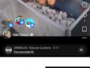 Protap & Gust by Valentin — miniatura 7