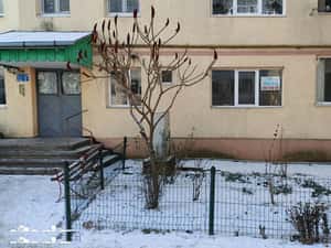 Vand/Schimb Apartament 2 Cam. Parter Central Cabinet/Spatiu Comer. !!! — miniatura 1