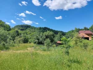 Casă Naturală în Transilvania — miniatura 3