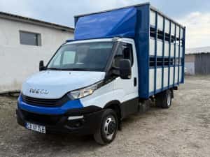 Iveco Daily Transport animale vii — miniatura 3