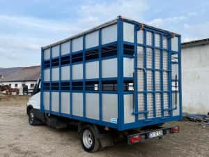 Iveco Daily Transport animale vii — miniatura 4