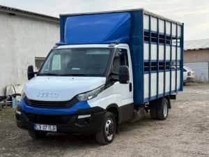 Iveco Daily Transport animale vii — miniatura 9
