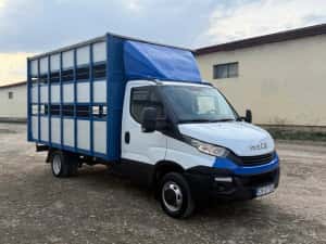Iveco Daily Transport animale vii — miniatura 10