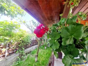 Vila luminoasa, gradina, priveliste panoramica spre munti, Harman, Brasov — miniatura 9