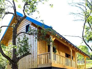 Cabana de vis in Nucsoara - Arges - 65.000 Euro+TVA — miniatura 4