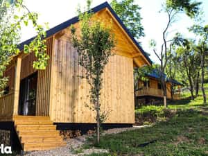 Cabana de vis in Nucsoara - Arges - 65.000 Euro+TVA — miniatura 5