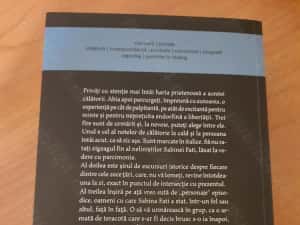 Vand cartea "Singura pe drumul matasii" de Sabina Fati — miniatura 2