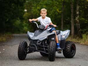 ATV Linhai 110 (nu segway,can am,polaris,cf moto) — miniatura 1