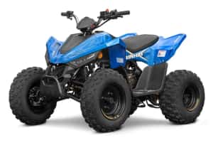 ATV Linhai 110 (nu segway,can am,polaris,cf moto) — miniatura 4