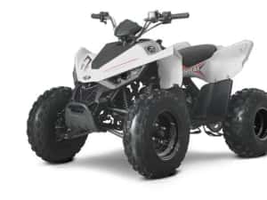 ATV Linhai 110 (nu segway,can am,polaris,cf moto) — miniatura 6