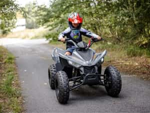 ATV Linhai 110 (nu segway,can am,polaris,cf moto) — miniatura 8