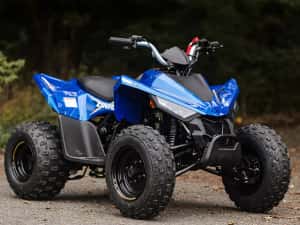 ATV Linhai 110 (nu segway,can am,polaris,cf moto) — miniatura 10
