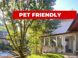 Apartament spatios cu 2 camere • acces curte • Piata Mihai Viteazu