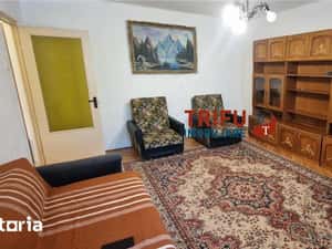 Garsoniera de inchiriat zona Cetate — miniatura 5