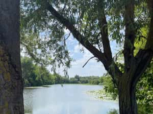 Teren 17ml x 20 ml, intre lac si padure, str. Irisului x str. Lac de nuferi ( chitila x mogosoaia) — miniatura 5