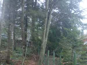 Sinaia central, teren intravilan — miniatura 2