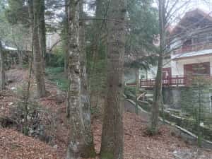 Sinaia central, teren intravilan — miniatura 5