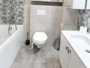 Apartament cu 2 camere, decomandat, Conest Tudor, 60mp, 500 euro — miniatura 6