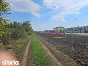 Obor / Avrig / Primarie / — miniatura 6