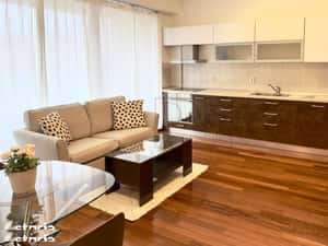 Apartament 2 camere | Herastrau | Cartierul Francez | parcare — miniatura 3