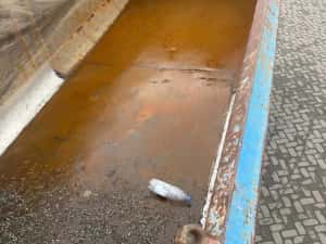 Autobasculant Man — miniatura 6