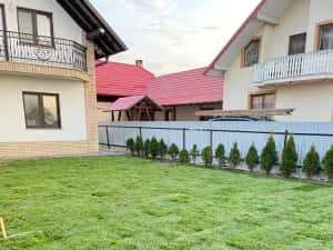 Gazon rulou premium sistem irigații — miniatura 2