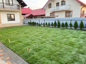 Gazon rulou premium sistem irigații — miniatura 6