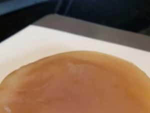 Kombucha SCOBY (ciuperca) + lichid starter + ghid utilizare cu imagini — miniatura 2
