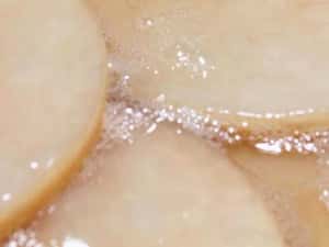 Kombucha SCOBY (ciuperca) + lichid starter + ghid utilizare cu imagini — miniatura 3